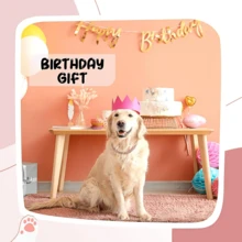 1pc Hip Hop Pet Cuban Chain, Dog Rhinestone Necklace, Pet Alloy Collar Accessory, Hip Hop Style Decor, Suitable For Daily Wear And Parties