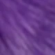 Purple-296
