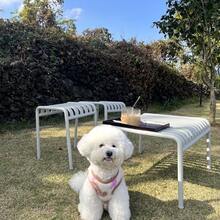 1 件宠物秋冬保暖舒适防风背心夹克，适合贵宾犬、比熊犬在寒冷天气穿着的狗/猫衣服 - 彩色 - 查看 10