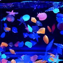 10/20/30/50/100pcs Set Luminous Resin Aquarium Decor, Includes Decorative Pebbles, Starfish, Seashells And Fish Figurines, Suitable For Fish Tanks And Garden Decoration - Multicolor - View 7