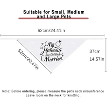 訂婚禮物-寵物頸巾,婚禮照片攝影道具,寵物圍巾,狗頸巾訂婚宣布,寵物配件