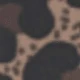 ليوبارد -1