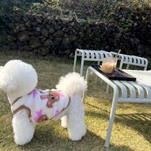 1 件宠物秋冬保暖舒适防风背心夹克，适合贵宾犬、比熊犬在寒冷天气穿着的狗/猫衣服 - 彩色 - 查看 7