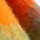 HM06-red Orange Blue