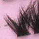 màu đen