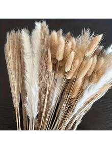 38/50/80/100/110pcs Natural Premium Pampas Grass Decor - Dried Rattan Flowers For Home, Wedding, Event & Festive Season Decorations (Christmas, Halloween, Easter, Thanksgiving)