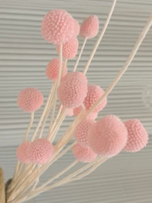 10支/20支天然干金槌花（比利球），黄色花朵，适用于插花、婚礼、家居装饰，可置于高花瓶中