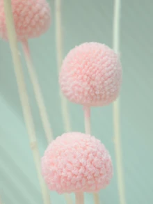 10支/20支天然干金槌花（比利球），黄色花朵，适用于插花、婚礼、家居装饰，可置于高花瓶中