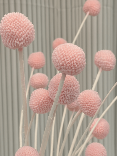 10/20 peças de flores secas naturais Craspedia Billy Balls Flowers Billy Buttons Buquê floral para arranjos florais de casamento, decoração de vaso alto amarelo