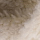 Màu be