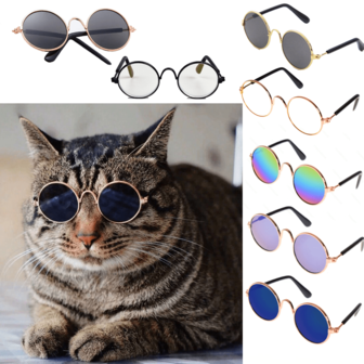 1-2 件嘻哈宠物太阳镜，适合猫狗的趣味风格