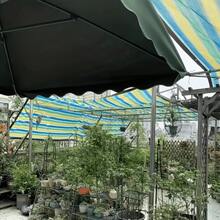 200.0x300.0 Cm Outdoor Balcony Privacy Screen - Breathable Sunshade Net, Suitable For Courtyards, Gardens, Decks - Mixed Color Weather Resistant Protective Screen 200x200