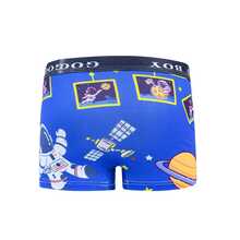 Young Boys Trunks - Royal Blue - View 6