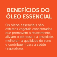 3 Essências Para Aromatizador Difusor de Ambiente elétrico - PATRA Aromas Kit c/ 3 Essência - Bamboo & Capim Limão + Alecrim + Chá Branco & Bamboo - Visão 4
