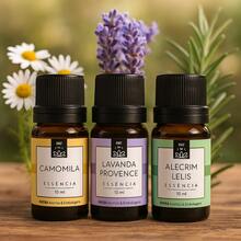 3 Essences For Electric Room Diffuser - PATRA Aromas Kit With 3 Essences - Cúc La Mã + Oải Hương + Hương Thảo - Xem 1