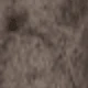 Braun