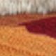 Wine With Orange
