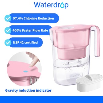 Waterdrop Elfin Fridge Water Filter Jug With 3 Months Filter, 2.5L, Reduces Fluoride, Chlorine And More, NSF Certified (Replacement Filter: WD-PF-01A Plus)