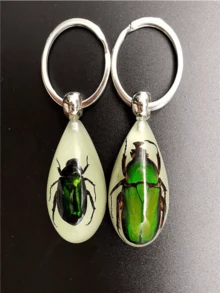 Glow-In-The-Dark Encapsulated Real Cicada, Crab, Spider, Scorpion Keychain. Symbolic Backpack Pendant, Water Drop Shaped Real Insect Specimen Desk Toy, Car Decor, Office Decoration, Wall Art, Versatile Keychain, Unique Artistic Gift - Multicolor - View 4