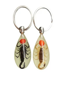 Glow-In-The-Dark Encapsulated Real Cicada, Crab, Spider, Scorpion Keychain. Symbolic Backpack Pendant, Water Drop Shaped Real Insect Specimen Desk Toy, Car Decor, Office Decoration, Wall Art, Versatile Keychain, Unique Artistic Gift - Multicolor - View 5