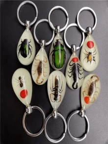 Glow-In-The-Dark Encapsulated Real Cicada, Crab, Spider, Scorpion Keychain. Symbolic Backpack Pendant, Water Drop Shaped Real Insect Specimen Desk Toy, Car Decor, Office Decoration, Wall Art, Versatile Keychain, Unique Artistic Gift - Multicolor - View 9