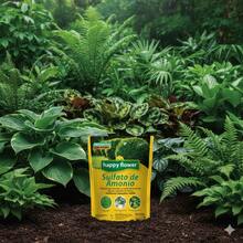 Lawn Seeds - Mint Blue - View 1