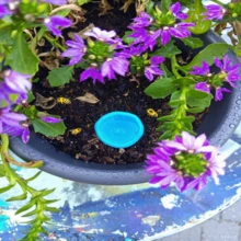 5/10 piezas Estación de abastecimiento de agua de resina con diseño floral - Comedero decorativo para colibríes y abejas para jardín, patio y alféizar de ventana - Motivos pintados a mano de mariposa y flor - Accesorio exterior para apoyo a polinizadores y decoración de verano! - Multicolor - Ver 12