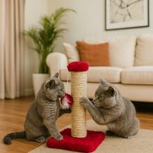 Cat Scratching Post With Exclusive Sisal Toy - Red - View 1