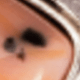 多色7