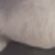 灰色