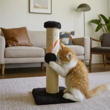 Cat Scratching Post With Exclusive Sisal Toy - 黑色 - 查看 1