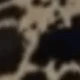 متعدد الألوان