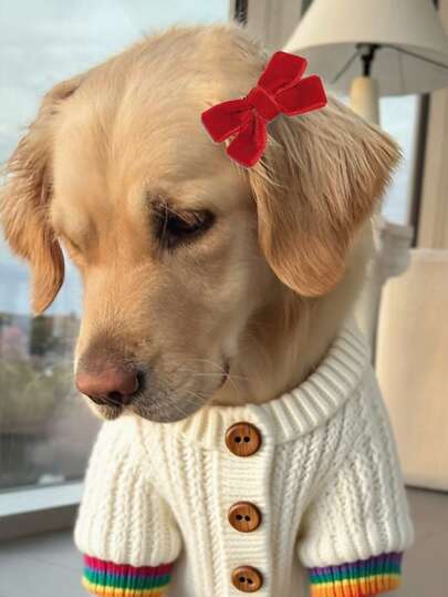 قطعتان مشبك شعر على شكل فراشة مخملية، إكسسوارات جميلة للحيوانات الأليفة للشعر الطويل والقصير للقطط والكلاب