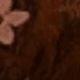 Marrón
