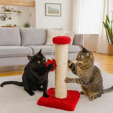Cat Scratching Post With Exclusive Sisal Toy - Red - View 4