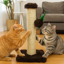 Cat Scratching Post With Exclusive Sisal Toy - Rust Brown - View 3