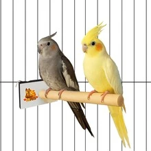 fn pets Natural Perch For Cage And Aviary – Cockatiels, Parakeets And Lovebirds, Bird, Pet - Nhiều màu - Xem 7