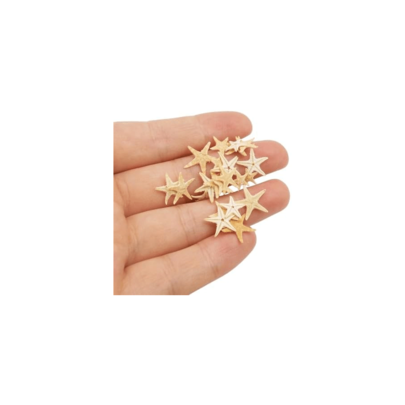Julie Wang 20PCS 02-05 Inches Tiny Small Miniature Natural Starfish Micro-Landscape Beach Wedding Nautical Ornament Shells Resin Craft DIY Vase Filler Size 05-15cm