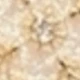 Golden White Flower