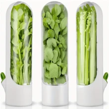 SOKANY 1pc Transparent Vegetable Preservation Box, Herb Preservation Box, Refrigerator Preservation Box. Transparent Shell, Plastic Material, No Battery Required. Can Be Filled With Water, Shelf Life 3-5 Days. Suitable For Preserving Cilantro, Asparagus, Cucumber, Carrots And Other Ingredients, A Must-Have Kitchen Tool. - White - View 13