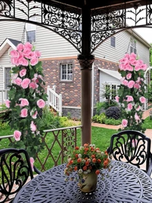 Nejlue Artificial Flowers/Plants1111 Home & Living 1pc Artificial Rose Vine Garland, Suitable For Home, Room, Garden, Wall, Indoor/Outdoor, Bedroom, Wedding, Dining Table, Party, Birthday, Balcony Decor, Spring Decorations, Valentine's Day Decorations - Pink - View 3