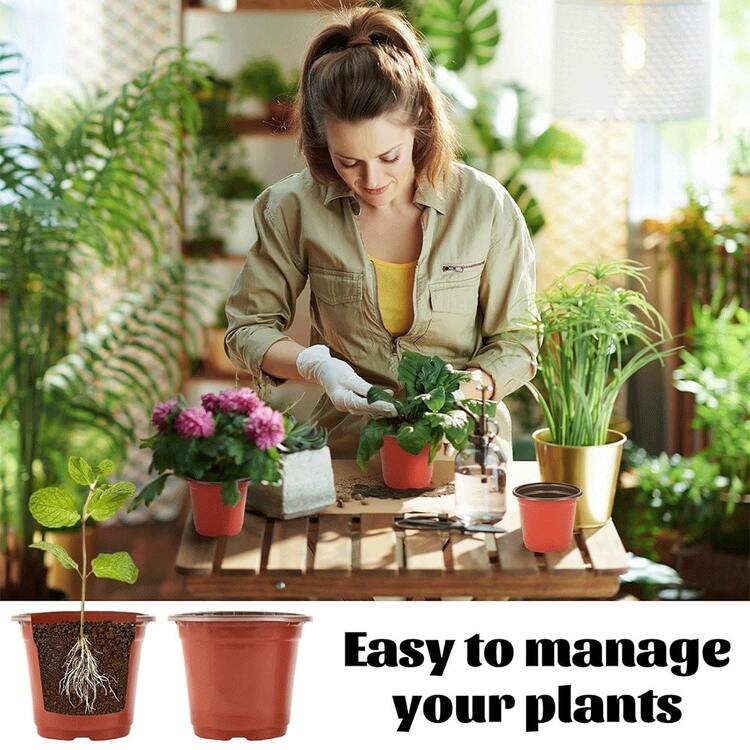 10/20/30/50个植物育苗盆，大型植物育苗盆，带排水孔的塑料花盆，室内外育苗盘，适用于植物、蔬菜、花卉和水果种子 - 棕色 - 查看 7