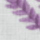 Màu Lilac Tím