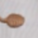 Tách