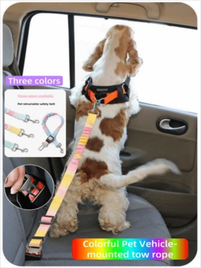 AD 时尚多彩宠物车载伸缩弹力牵引绳，带安全扣，尼龙防滑绳，适合小型、中型和大型犬。