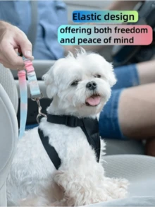 AD Fashionable And Colorful Pet Car Retractable Elastic Traction Leash With Safety Buckle, Nylon Anti-Slip Rope, Suitable For Small, Medium And Large Dogs - Car Pet Leash - View 4