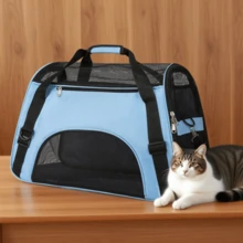 1pc Foldable Large Capacity Fashion Breathable Pet Outdoor Sling Bag, Suitable For Medium/Small Cats & Dogs Outdoor Activities