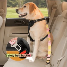 AD Fashionable And Colorful Pet Car Retractable Elastic Traction Leash With Safety Buckle, Nylon Anti-Slip Rope, Suitable For Small, Medium And Large Dogs - Car Pet Leash - View 2