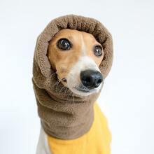 Autumn/Winter Jumpsuit For Small/Medium Dogs, Warm Full Body Coverage Outfit With High Collar To Protect Belly And Legs, Soft & Cozy Fabric, Suitable For Breeds Like Poodle, Whippet, Beagle In Cold Seasons - Coffee Brown - View 8