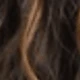 Brown Highlight
